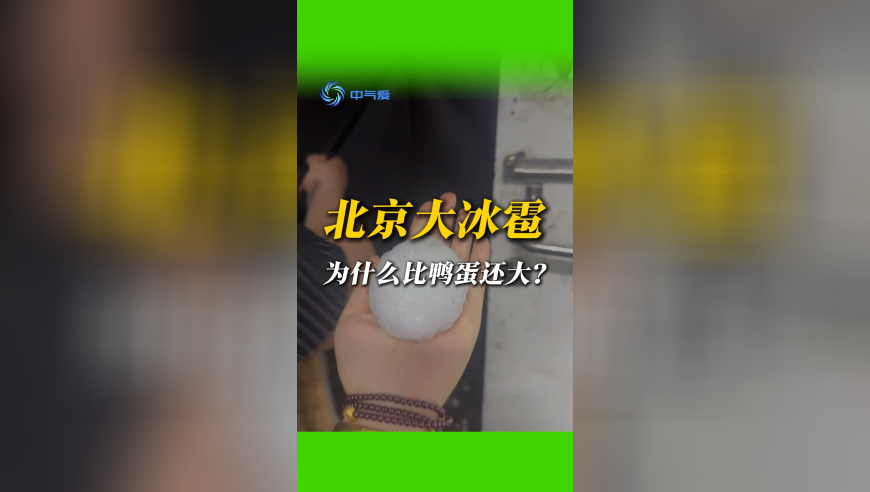 皓都怀疑李长歌身份,新澳彩开奖结果历史记录表格,典故解疑_权威版V1.15