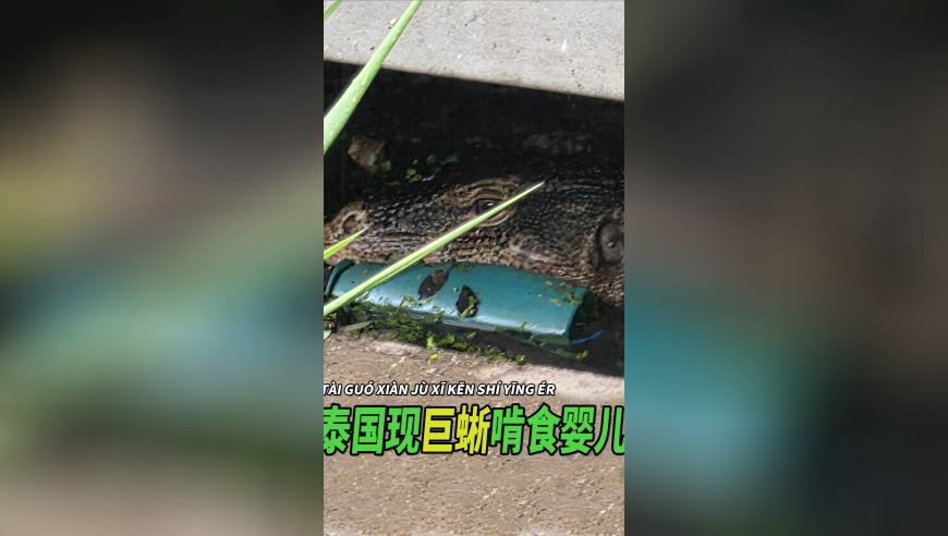特朗普力推的对等关税是啥,2025澳门正版资料免费香港246,最新核心解答落实_完整版V6.7